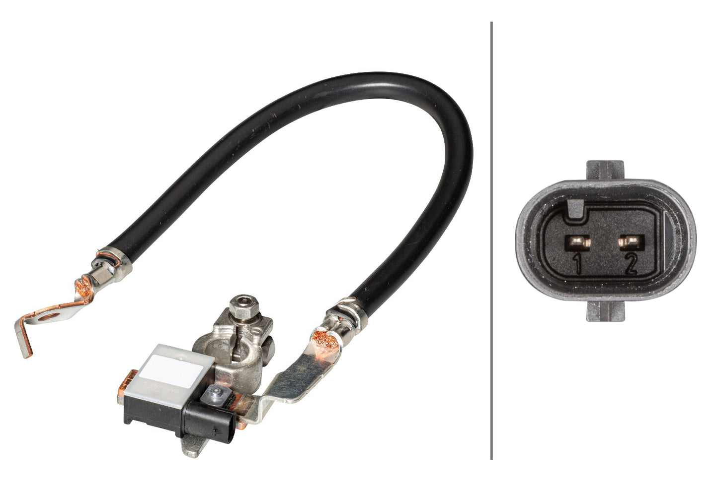HELLA Sensor, battery management - 12V - Bolted 6PK013442-901