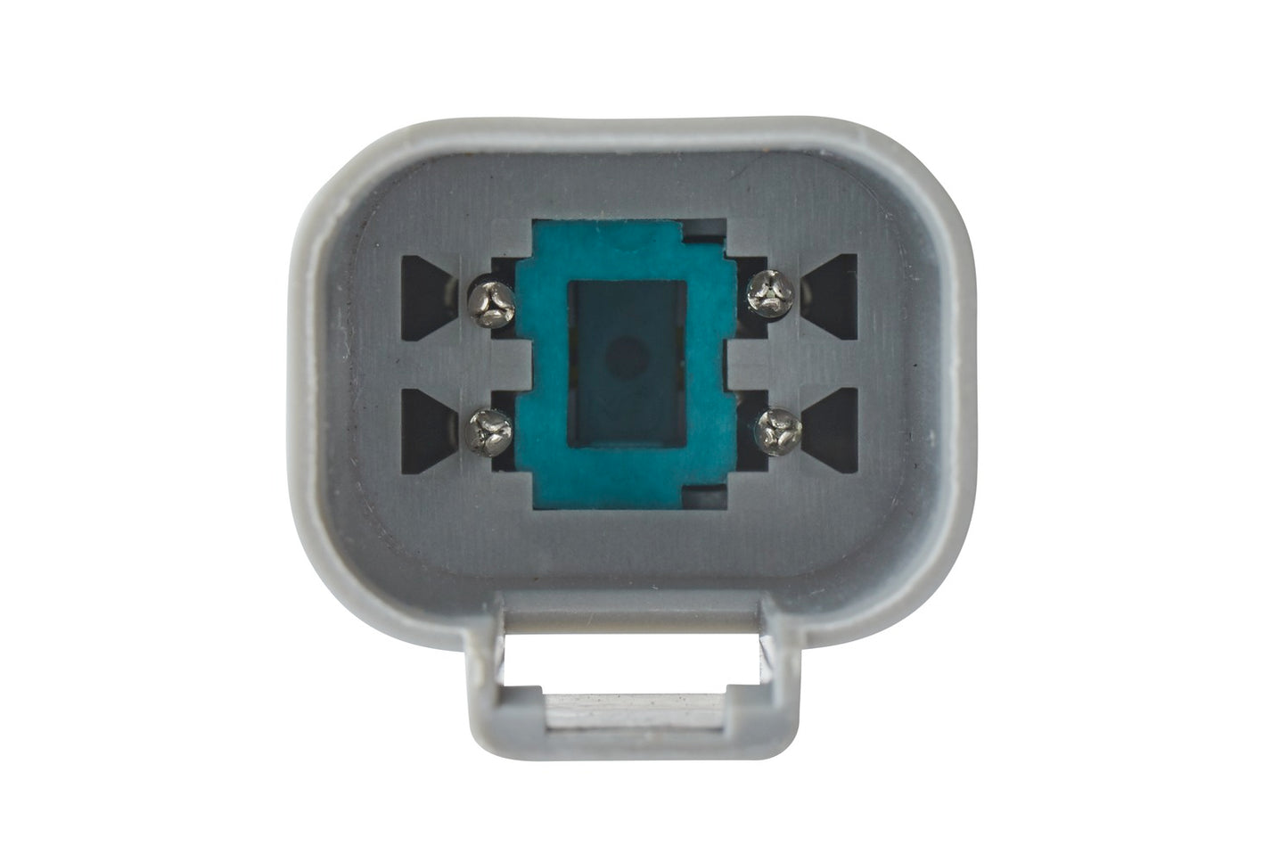HELLA Rearlight - Bulb - 12V 2VA012497-011