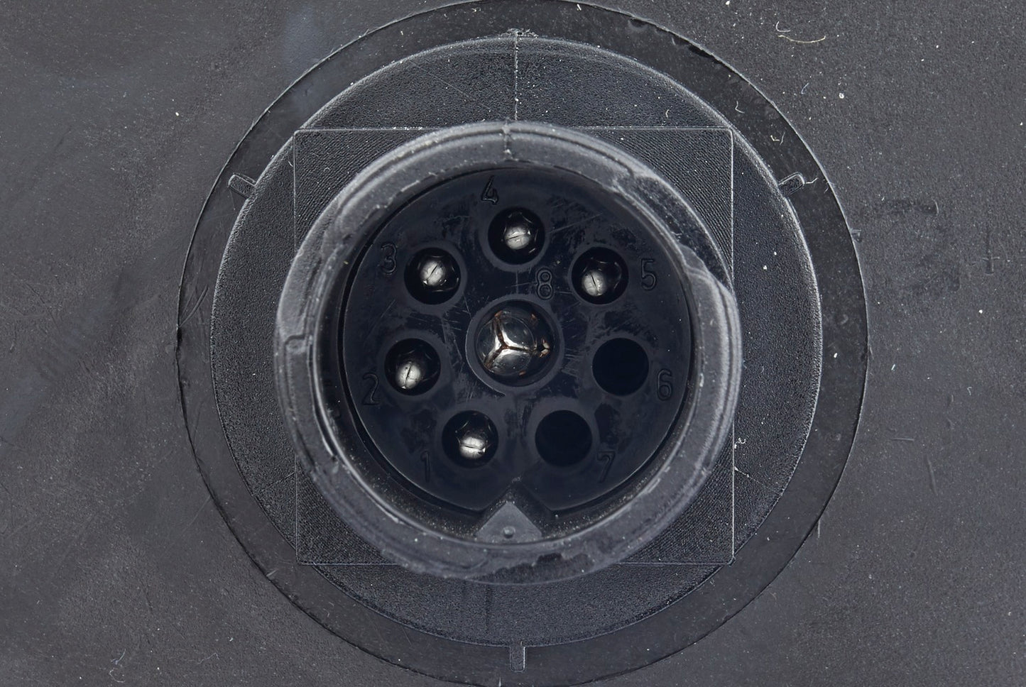 HELLA Rearlight - Bulb - 24V 2VP340888-011