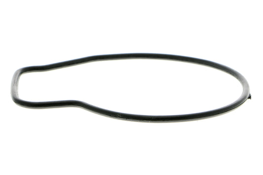 ACKOJA Water Pump, engine cooling A26-50007