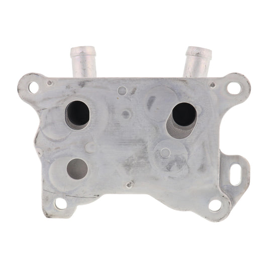 ACKOJA Oil Cooler, engine oil A38-60-0004
