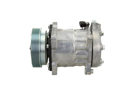 Delphi New Aircon Compressor for Volkswagen CS20491