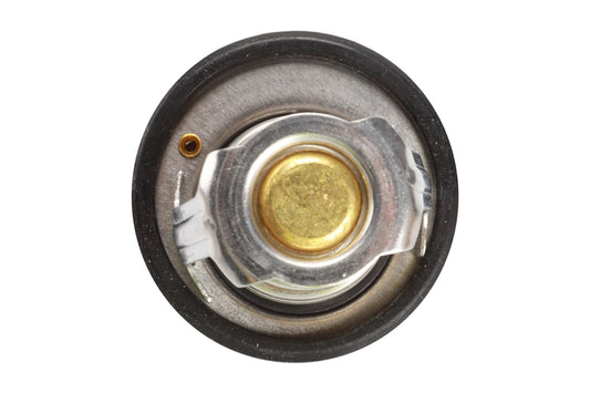 BOGAP Premium Thermostat for coolant F4245110