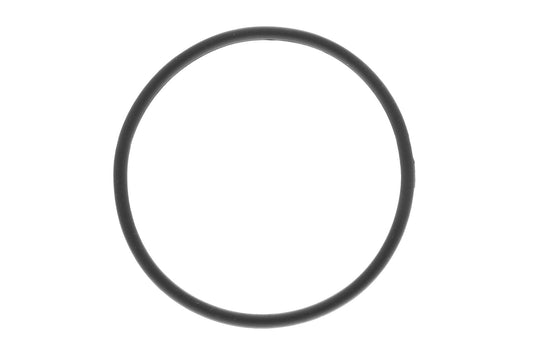 VAICO Fuel filter V10-0499