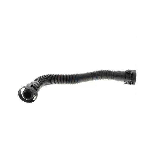VAICO Hose, crankcase ventilation V10-2678