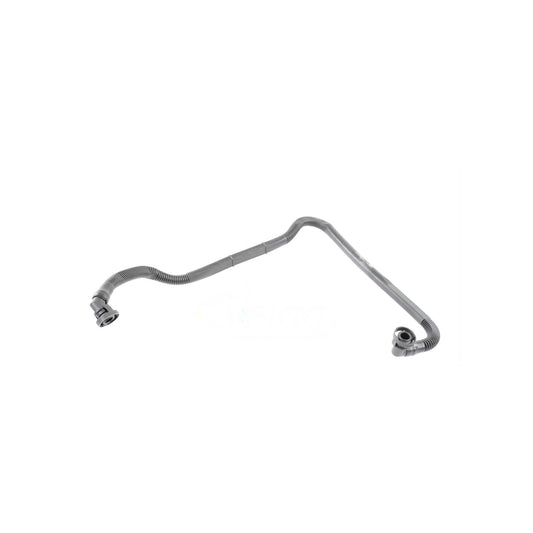 VAICO Hose, crankcase ventilation V10-2679