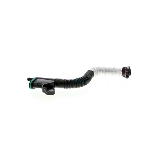 VAICO Hose, crankcase ventilation V10-4854