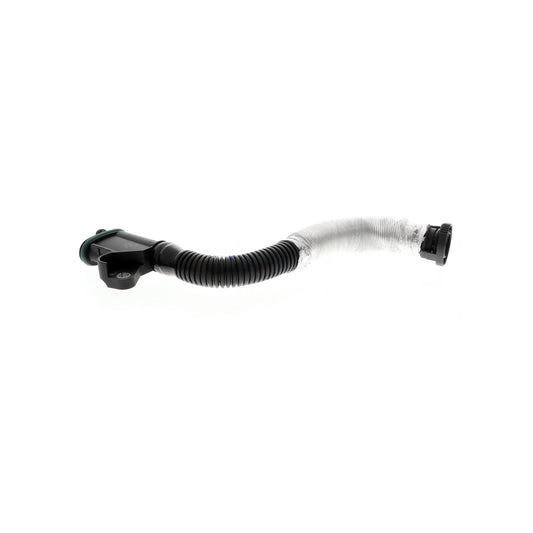 VAICO Hose, crankcase ventilation V10-5579