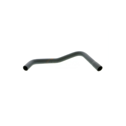 VAICO Hose, cylinder head cover ventilation V10-9767