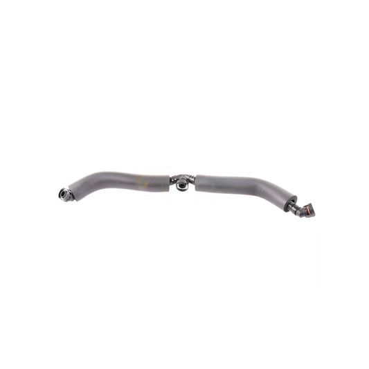 VAICO Hose, crankcase ventilation V20-2598