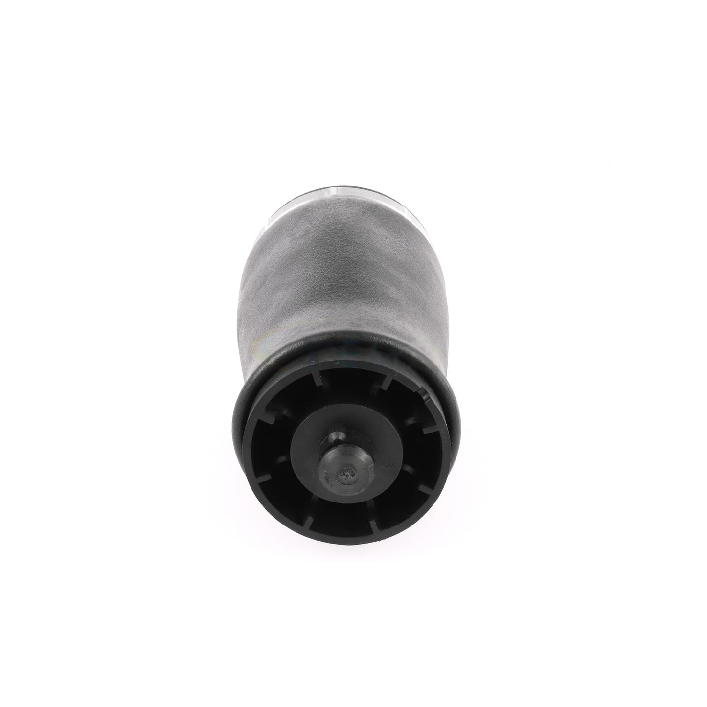 VEMO Air Suspension Strut V20-50-0003-1