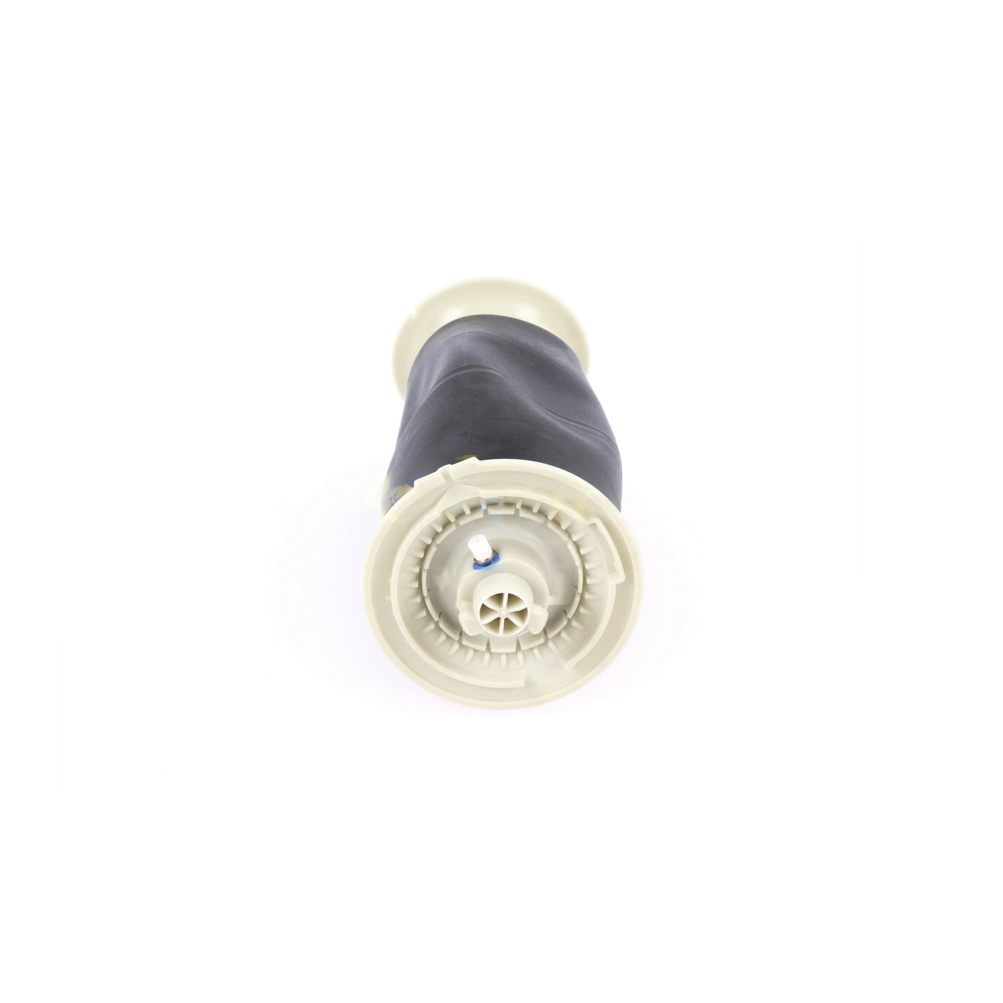 VEMO Air Suspension Strut V20-50-0012