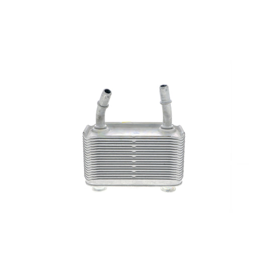 VEMO Oil Cooler, automatic transmission V20-60-0003