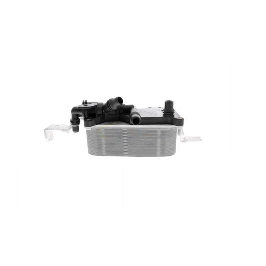 VEMO Oil Cooler, engine oil V20-60-0052