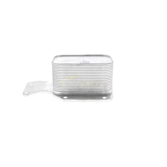 VEMO Oil Cooler, engine oil V20-60-0055