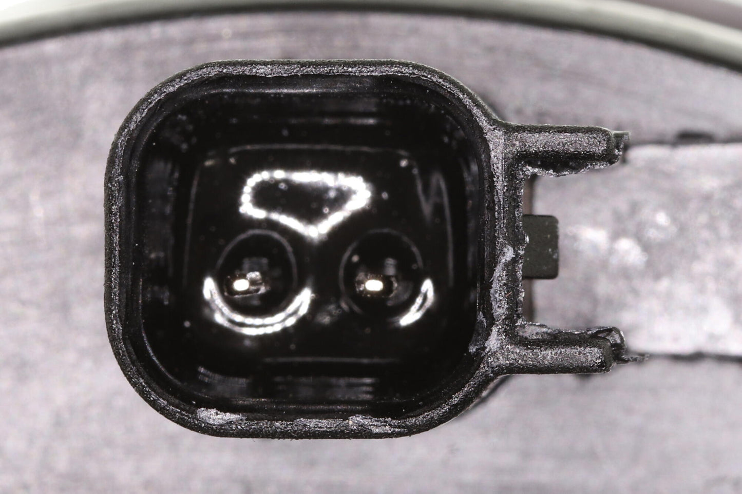 VAICO Housing, fuel filter V25-2125