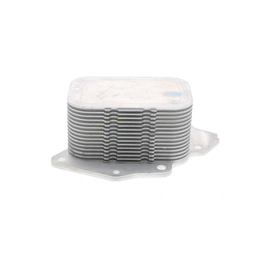 VEMO Oil Cooler, engine oil V25-60-0026