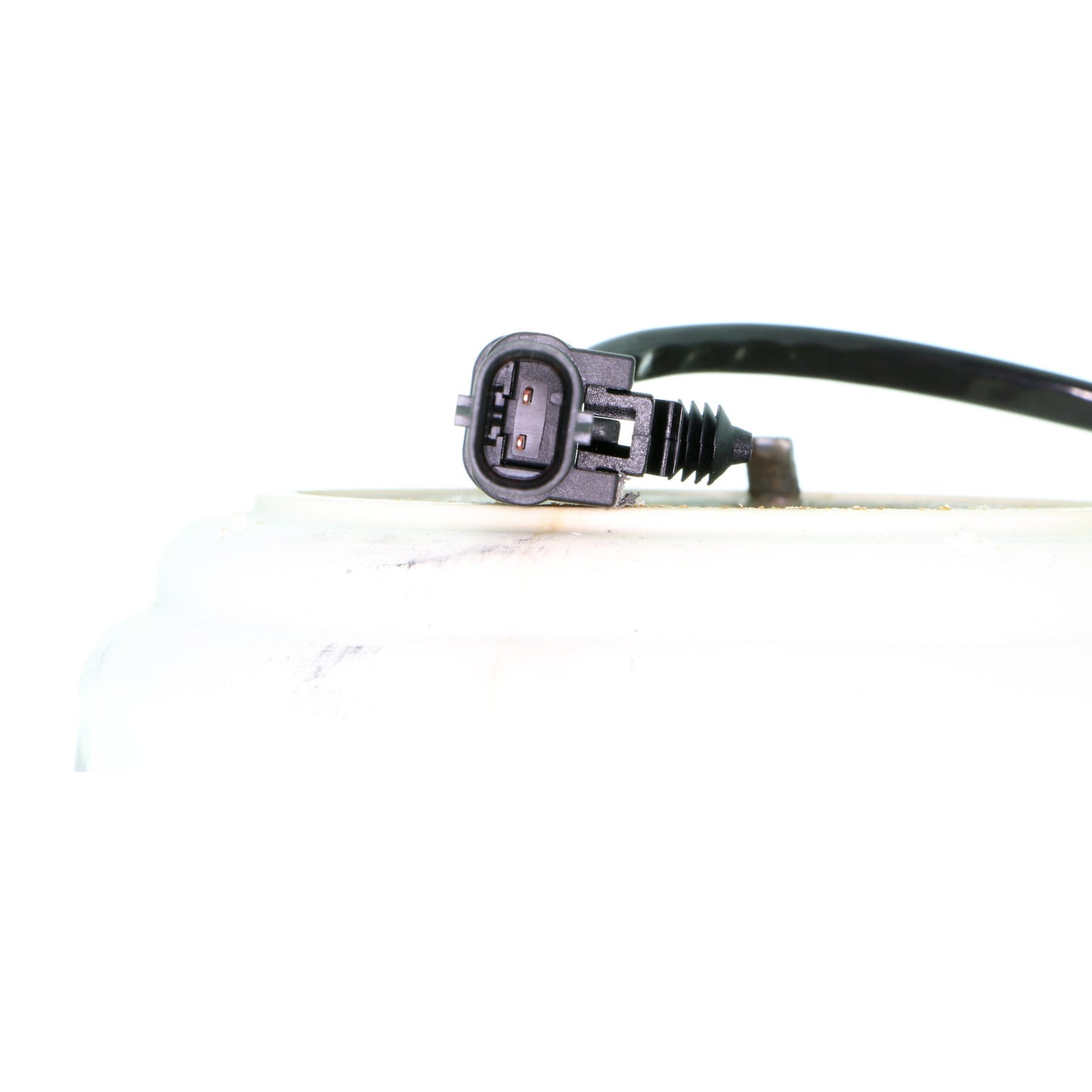 VAICO Mounting, engine V30-2499