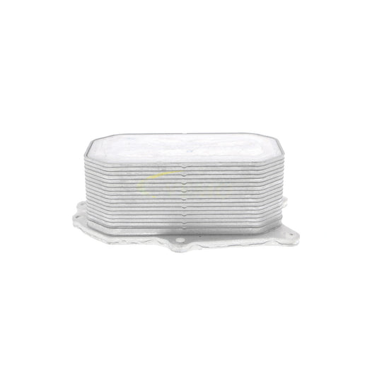 VEMO Oil Cooler, engine oil V40-60-2115