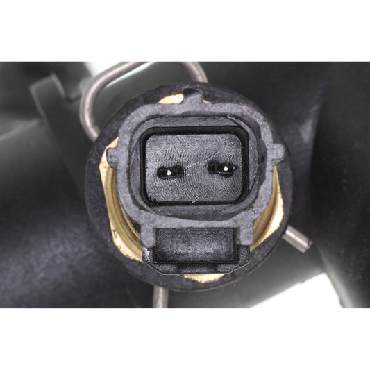 VAICO Radiator Hose V41-0037