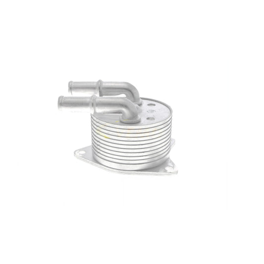 VEMO Oil Cooler, automatic transmission V42-60-0012