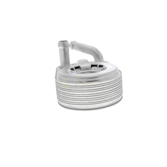 VEMO Oil Cooler, engine oil V48-60-0013