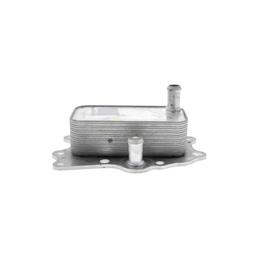 VEMO Oil Cooler, engine oil V51-60-0004