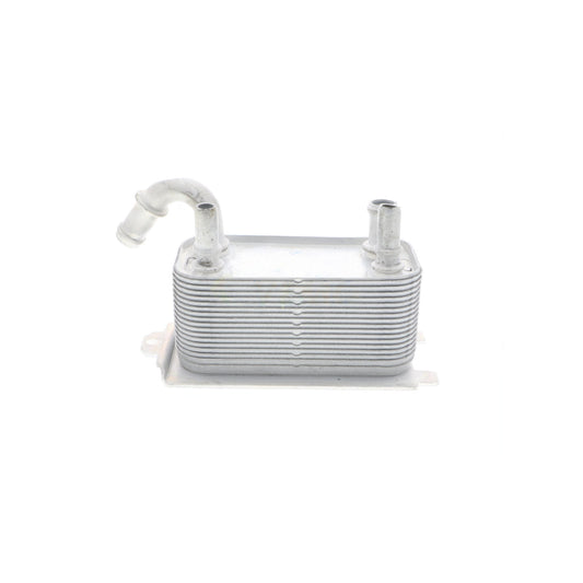 VEMO Oil Cooler, engine oil V95-60-0005