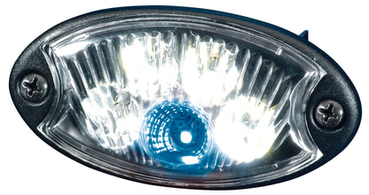 HELLA Interior Light - Mini OvalLED - LED - 12V 2JA343570-051