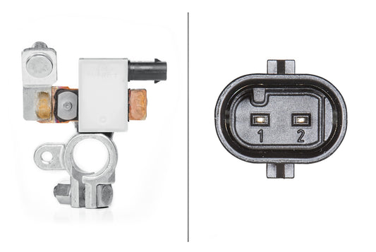 HELLA Sensor, battery management - 12V - Bolted 6PK010557-901