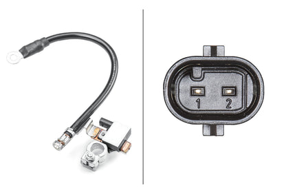HELLA Sensor, battery management - 12V - Bolted 6PK011190-901