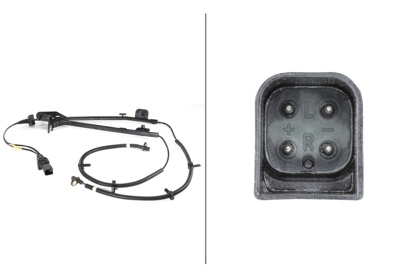 HELLA Sensor, wheel speed - 12V - Rear Axle 6PU010039-121