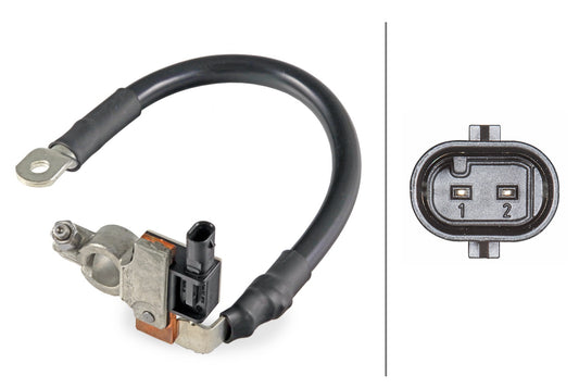HELLA Sensor, battery management - 12V - Bolted 6PK010942-901