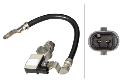 HELLA Sensor, battery management - 12V - Bolted 6PK010840-911