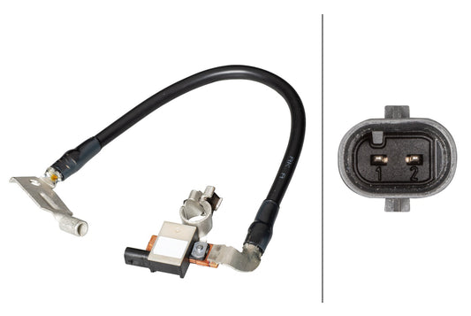 HELLA Sensor, battery management - 12V - Bolted 6PK013288-911