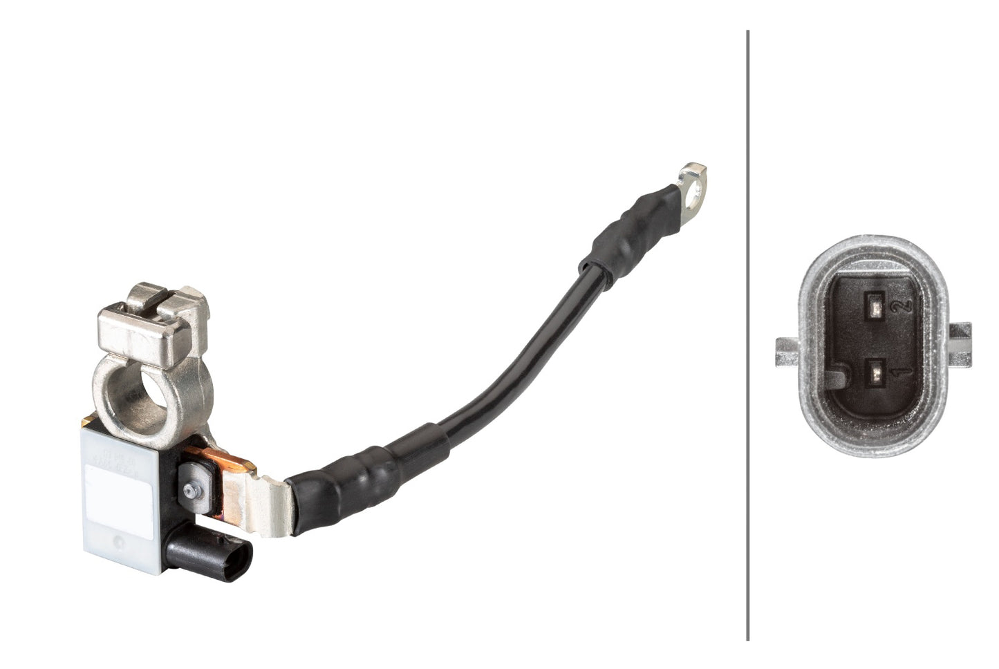 HELLA Sensor, battery management - 12V - Bolted 6PK010181-711