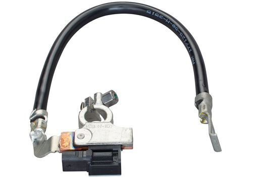 HELLA Sensor, battery management - 12V - Bolted 6PK010562-921