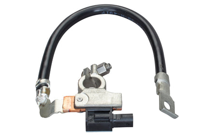 HELLA Sensor, battery management - 12V - Bolted 6PK010561-901