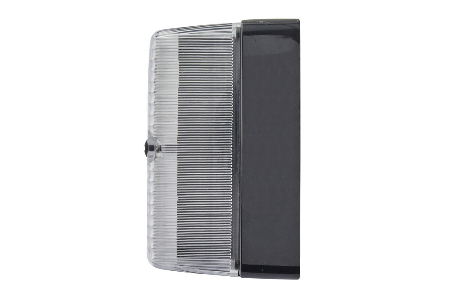 Halogen-Reverse Light - 12V