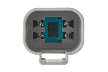HELLA Rearlight - Bulb - 12V 2VA012497-111