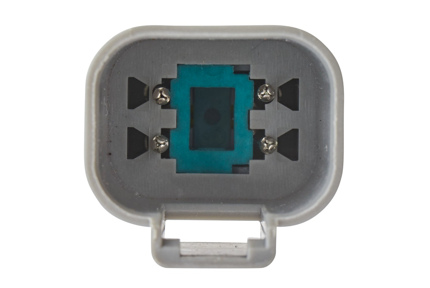 HELLA Rearlight - Bulb - 12V 2VA012497-211