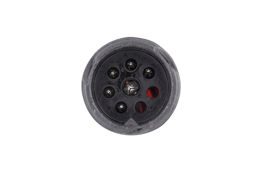 HELLA Rearlight - Bulb - 24V 2VD007323-131