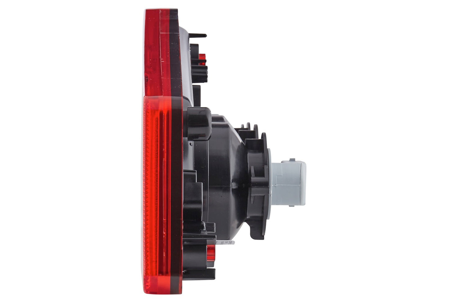 HELLA Rearlight - Caraluna X - Bulb - 12V 2VP012570-021