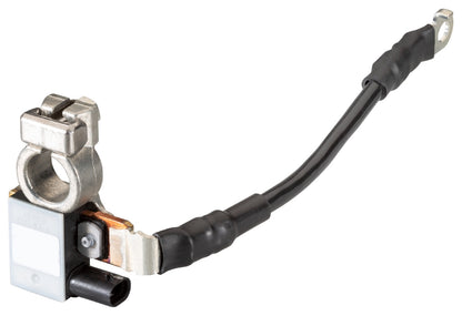 HELLA Sensor, battery management - 12V - Bolted 6PK010181-711