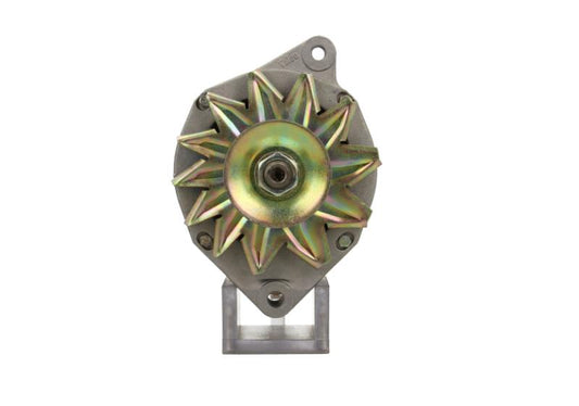OEM Reman Alternator for Renault 60A 123399R