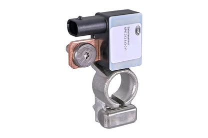 HELLA Sensor, battery management - 12V - Bolted 6PK013813-011