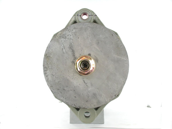 Remy New Alternator for Caterpillar 50A 19010001