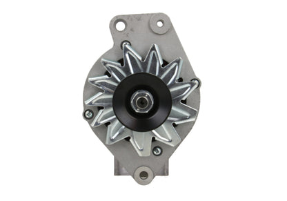 RNL-Standard Alternator Volkswagen 65A RNL488226