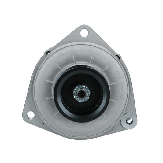 RNL-Standard Alternator Mercedes 100A RNL4103OER