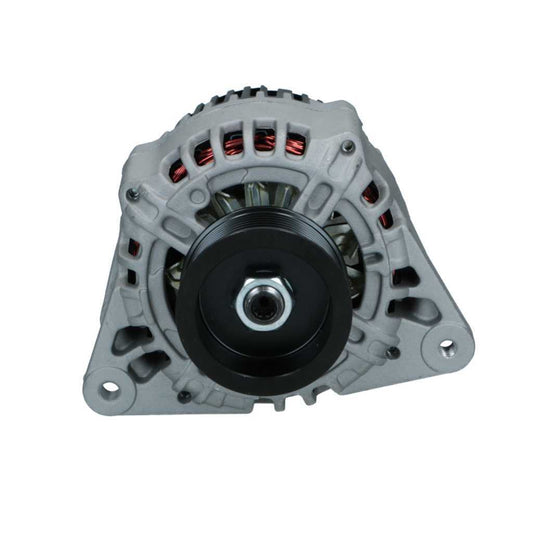 RNL-Standard Alternator Massey Ferguson 120A RNL11203088